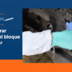 Cómo reparar fisuras en el bloque de un motor