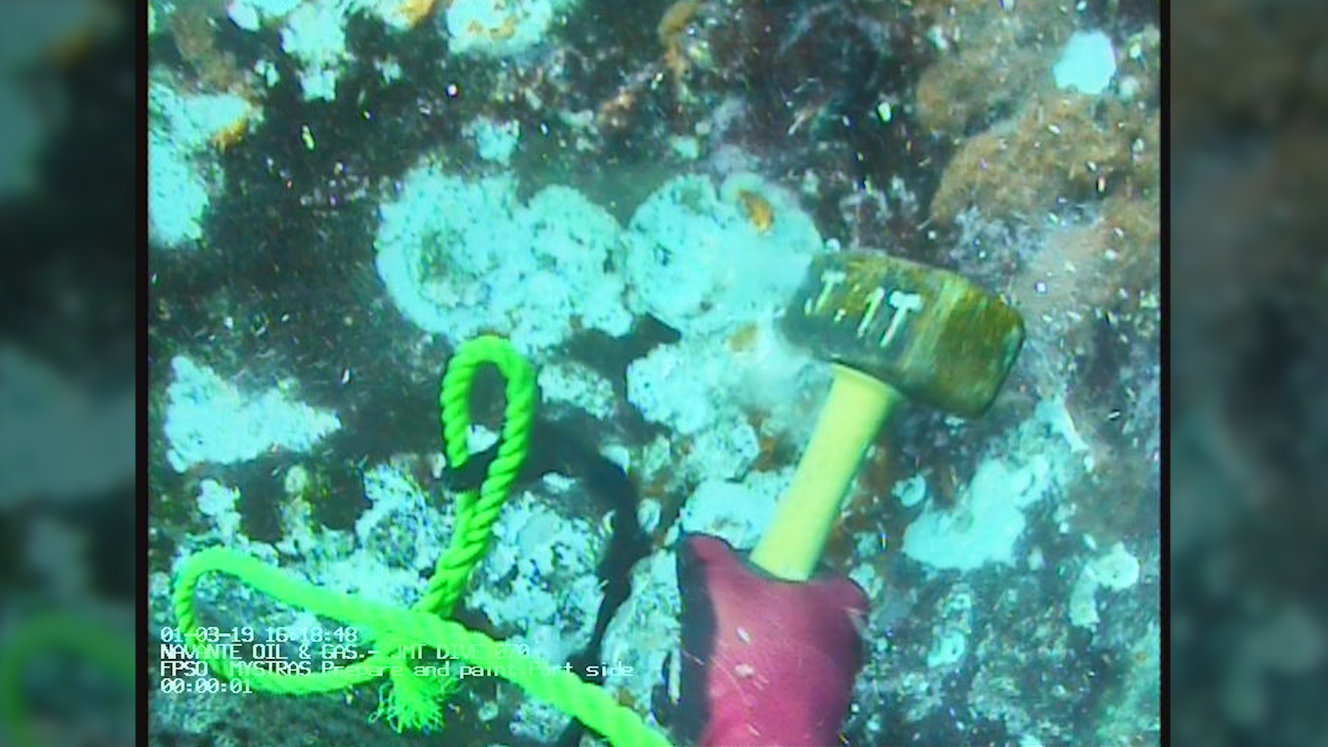 Underwater Coating Protects FPSO Hull from Corrosion Belzona Blog