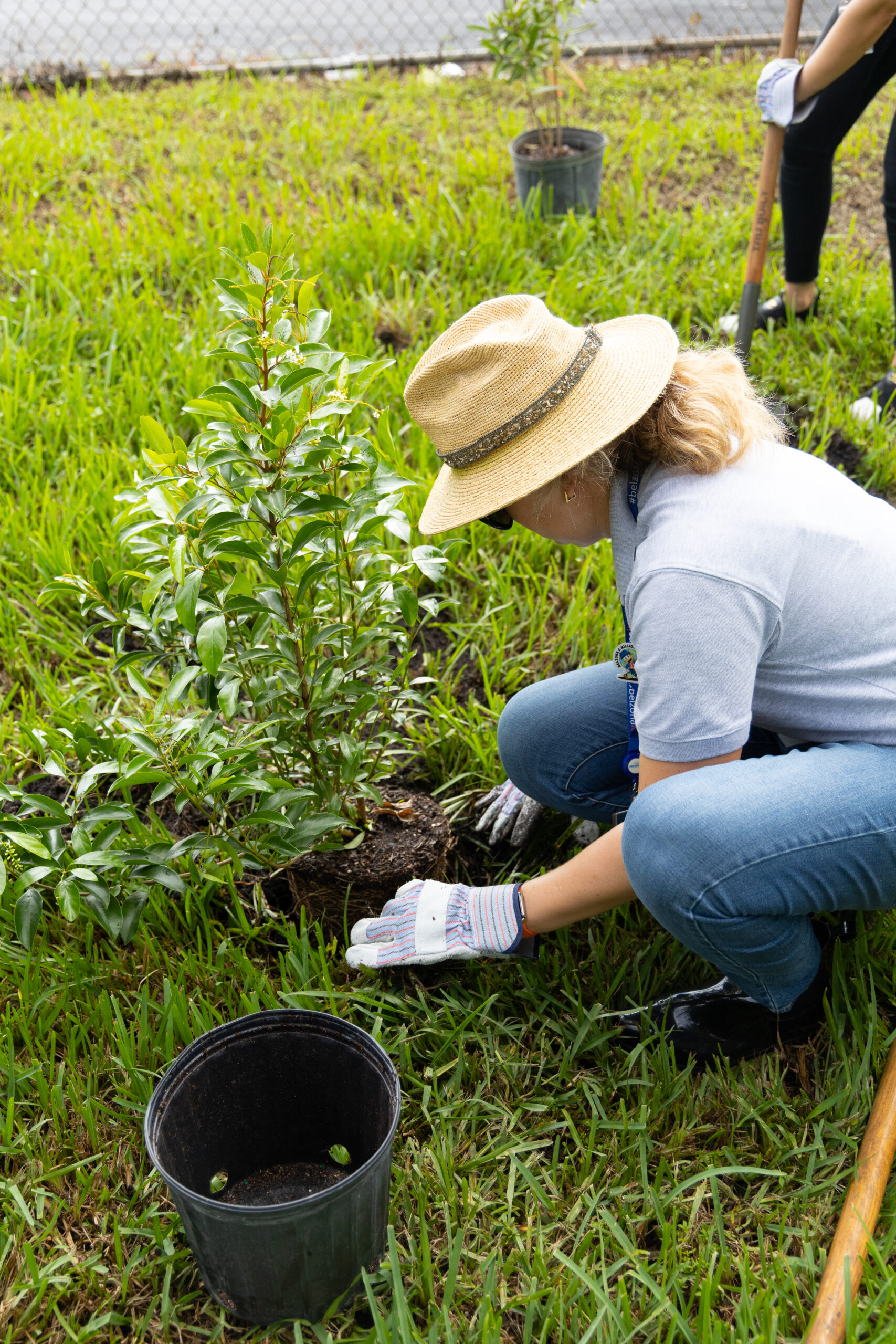 Staff Member Planting Trees