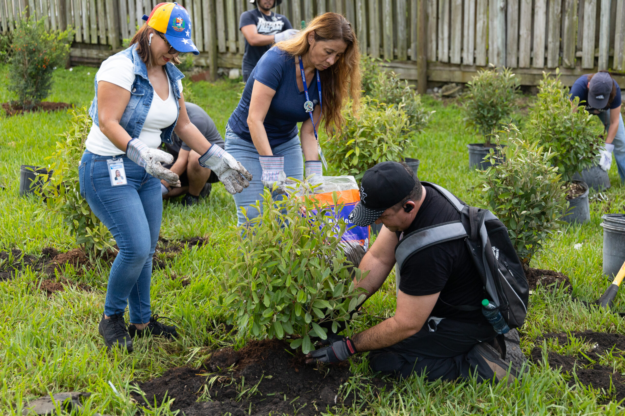 Staff Members Working Together 